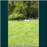 WhatsApp Image 2024-06-13 at 20.38.25.jpg